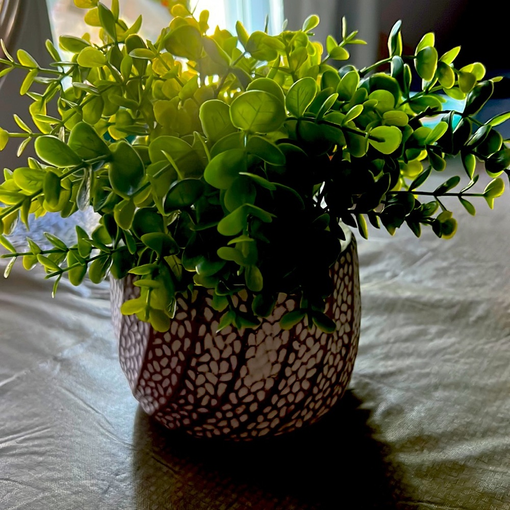 Imitation plant